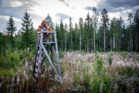 Karhuluvista tehdyt valitukset tuottavat Pohjois-Karjalan metsästäjille päänvaivaa – "Valitukset ovat minusta järjestelmällistä kiusantekoa" 