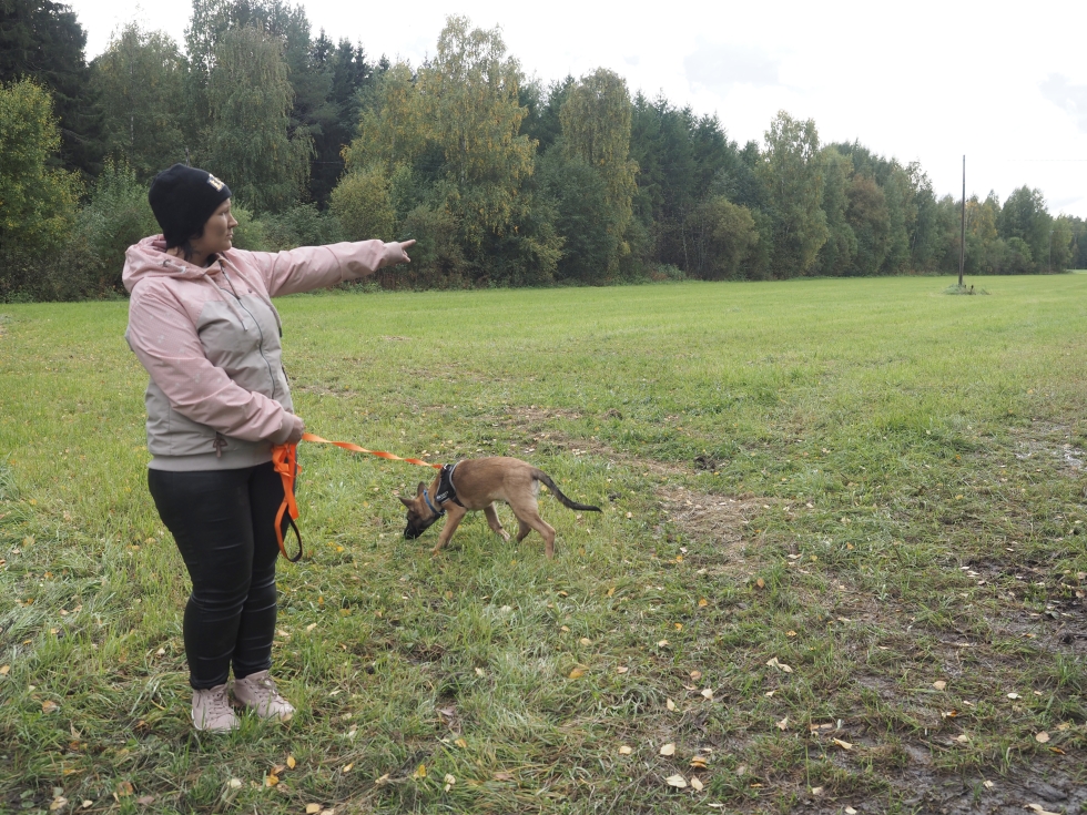 Tinja Lehtonen osoittaa pellon reunaa, josta sudet lähtivät seuraamaan heitä.