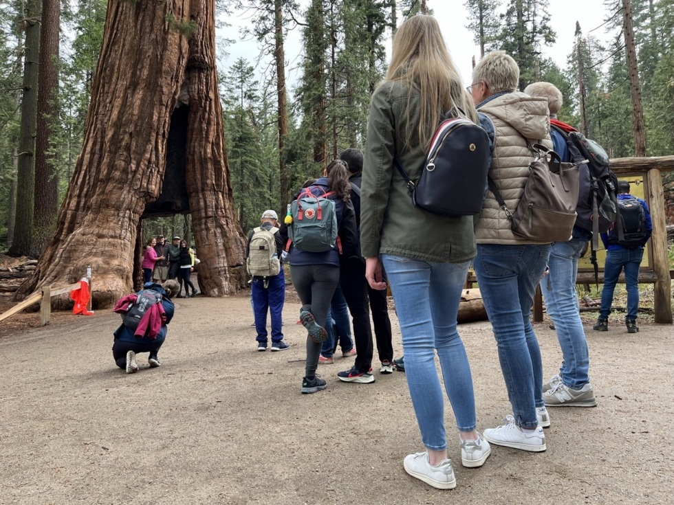 Turistit jonottivat poseeraamaan Yosemiten kansallispuistossa Kaliforniassa Yhdysvalloissa. LEHTIKUVA / ANNE SALOMÄKI