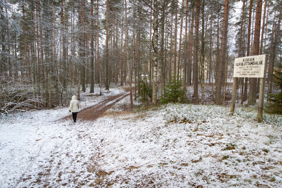 Kiistan kohteena on Pielisjoen rantaan rajoittuva metsikkö Ranta-Mutalantien varressa.