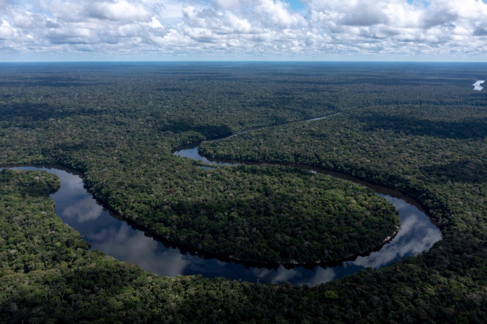 Kuvaa Amazonin sademetsästä. Lehtikuva/AFP