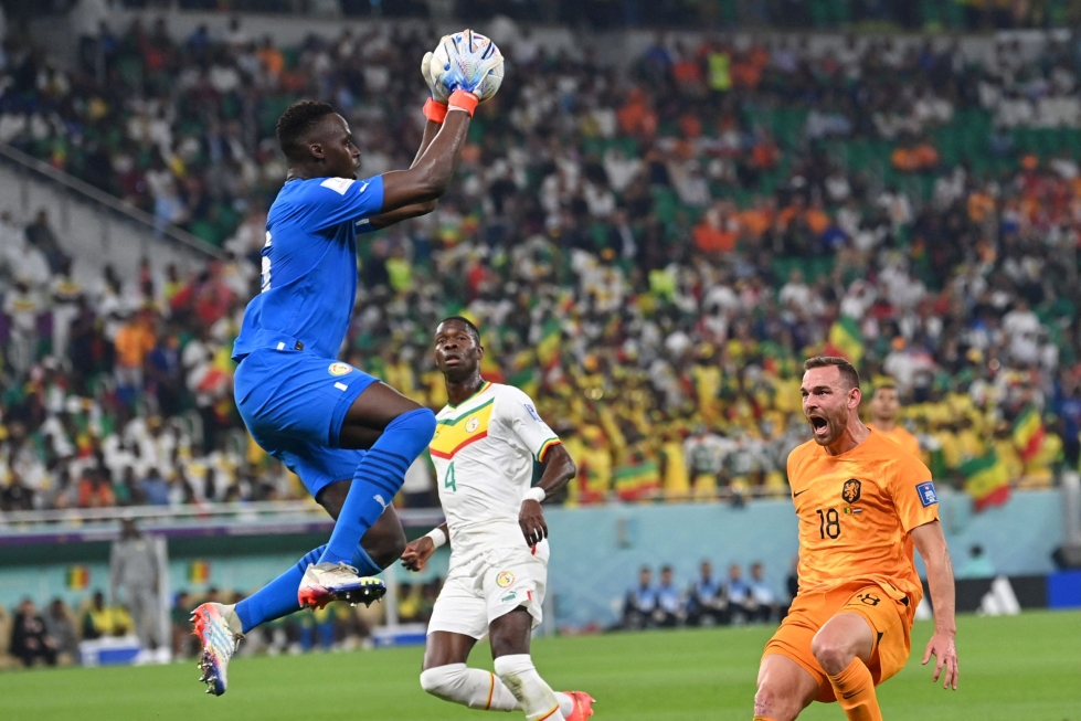 Senegalin maalivahti Edouard Mendy nappasi pallon Hollannin Vincent Janssenin lähestyessä. LEHTIKUVA/AFP