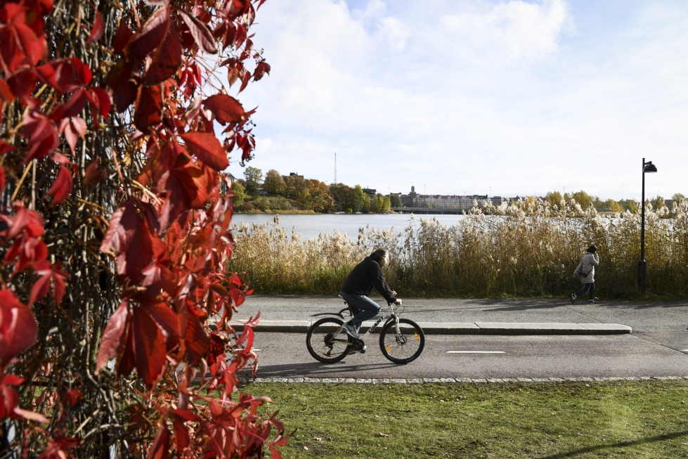 Syksyn värejä lehtipuissa Töölönlahdella Helsingin keskustassa 10. lokakuuta 2022., LEHTIKUVA / EMMI KORHONEN
