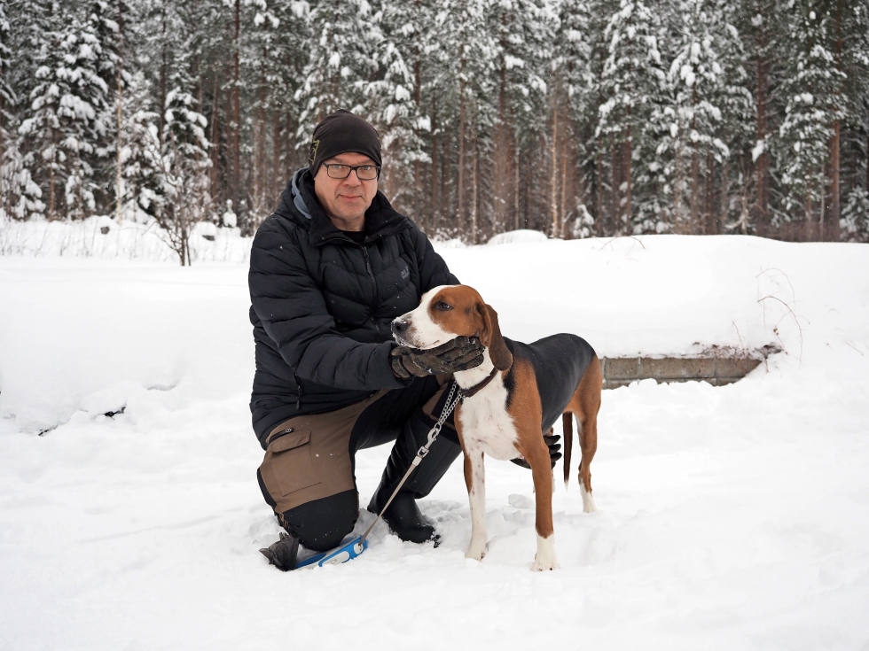 Jarmo Tanninen käy koiransa Ansan kanssa jänismetsällä kolmisen kertaa viikossa. Aina ei tosin pyssy ole edes hänellä mukana.