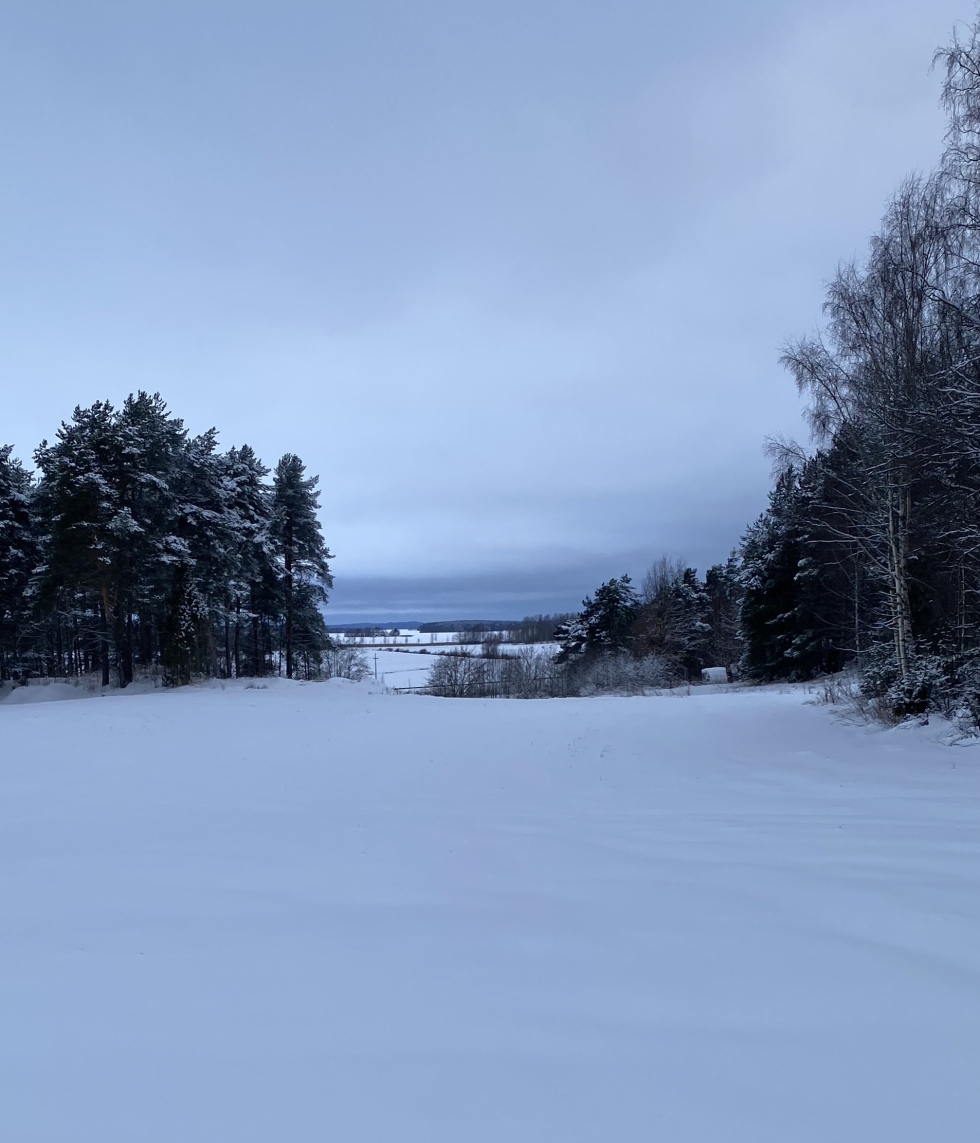 Joulupäivän maisema oli talvinen Pyhäselän Mulossa.