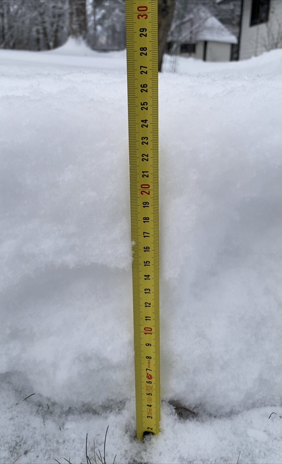 Lumipeite oli Joensuun Reijolassa 15. joulukuuta 26 senttiä ja on pysynyt viime päivien sateista huolimatta suunnilleen samoissa lukemissa.