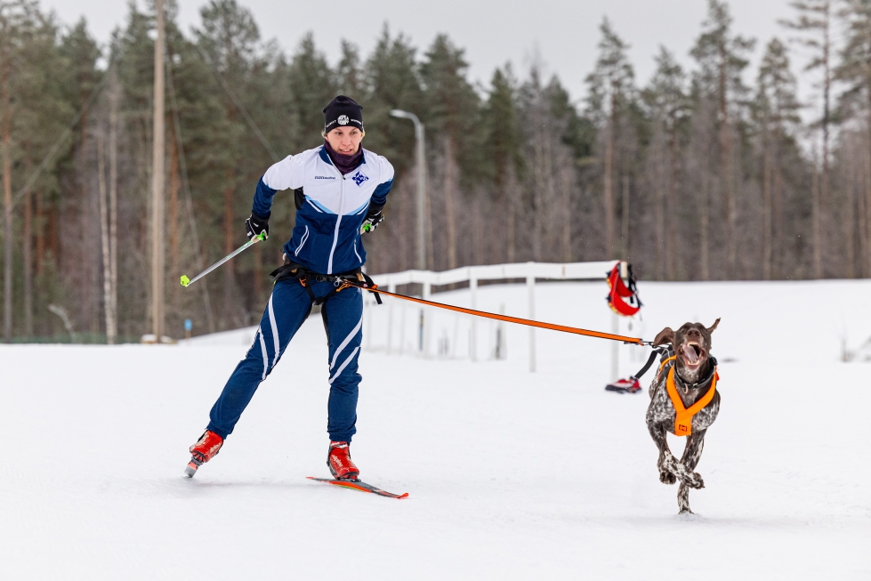Valjakkourheilija Jenna Kanko toivoisi vielä parempia harrastusmahdollisuuksia koiran kanssa hiihtämiseen. Koiran kanssa hiihtäminen on vauhdikasta, joten koiralla on hyvä olla perustaidot kunnossa ennen ladulle menoa.
