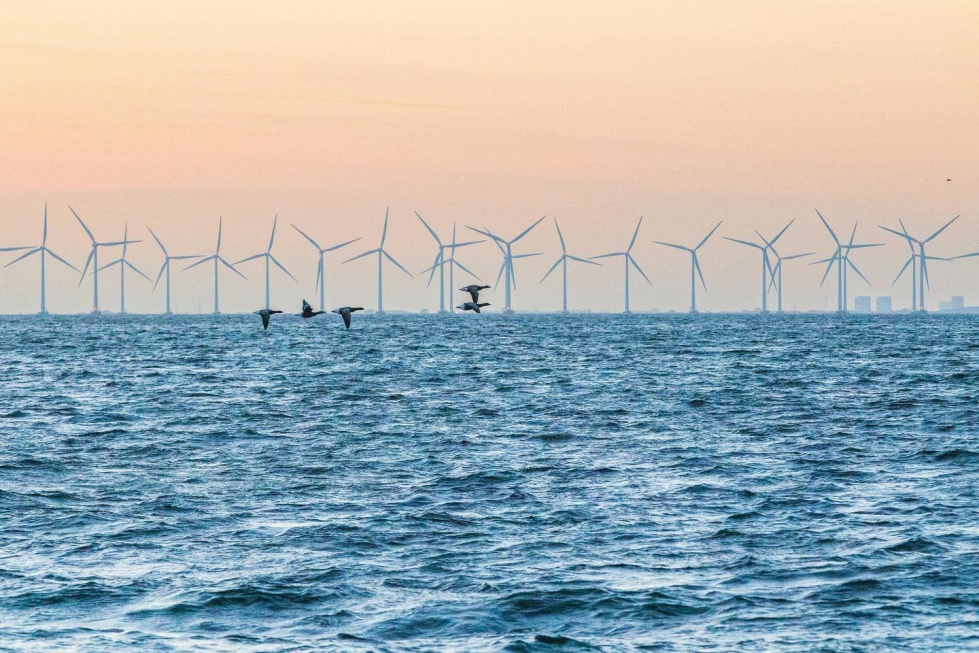 Itämerellä suuria merituulipuistoja löytyy esimerkiksi Kööpenhaminan edustalta. Suomessa avomerellä ei vielä tuulivoimaloita ole.
