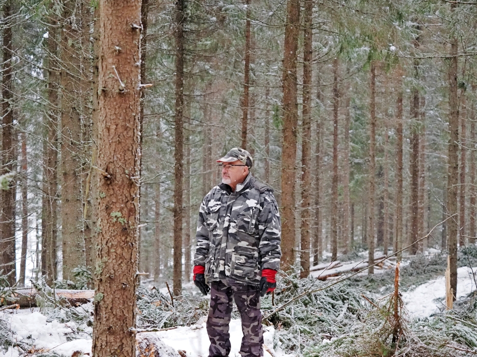 Leo Hirvonen pitää huolta metsäpalstastaan.