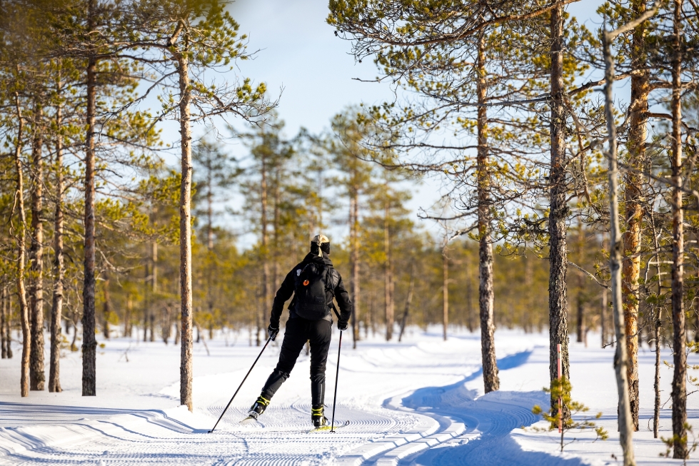 Pohjois-Karjalassa on upeita hiihtolatuja, joilla maisemat ovat kohdallaan. Kiihtelysvaaran Valkeasuon ladulla matka sujuu lähes huomaamatta upeita maisemia ihastellessa.