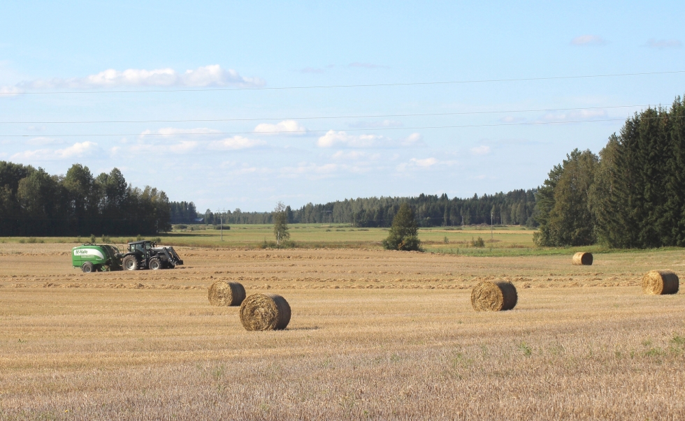 Ohikulkijalle Viinijärven maisemaa leimaa aito maaseutu mutta kohta haetaan kylän kaikentyyppisiä vahvuuksia.