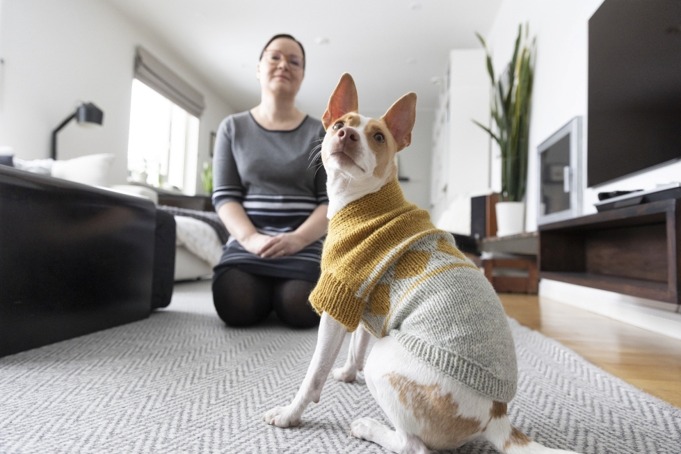Anne Ilvosen Nori-koiralla on mittatilaustyönä tehty villapaita, koska sillä ei ole lämmittävää aluskarvaa.