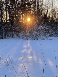 Sääblogi: Helmikuu oli lopulta yli kaksi astetta normaalia leudompi – Föhn-virtaukset toivat keväistä lämpöä myös Pohjois-Karjalaan