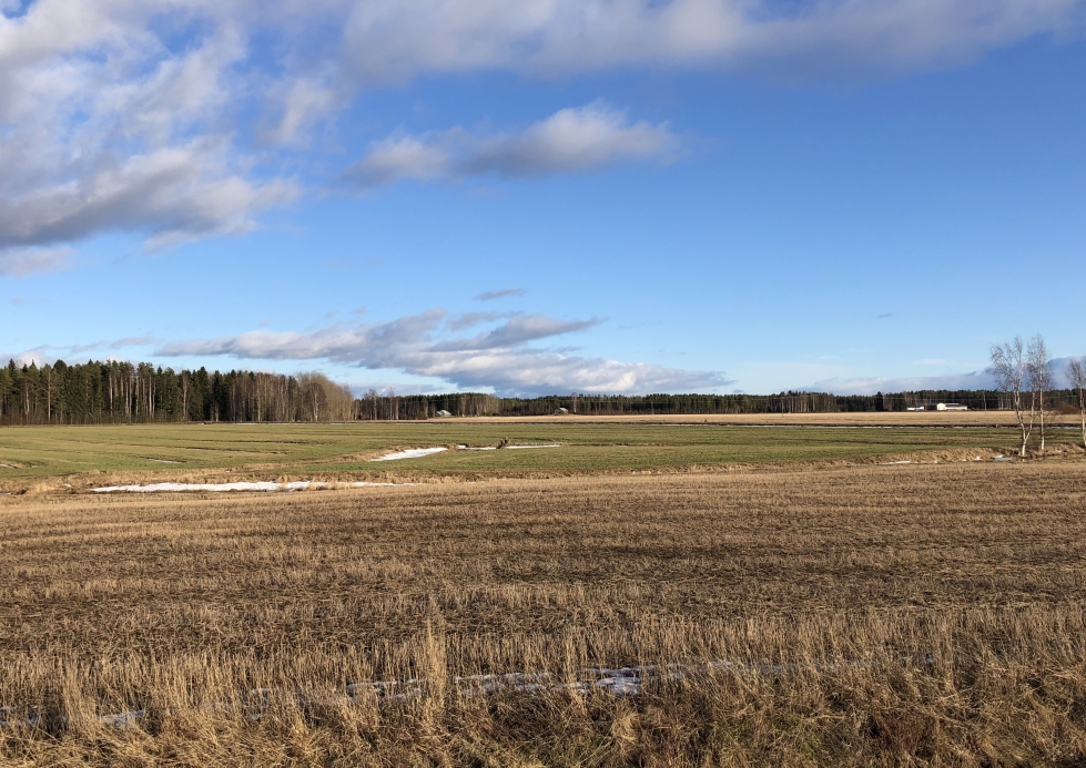 Tällaisilta näyttivät maisemat Pyhäselän Reijolassa 19. helmikuuta 2020.