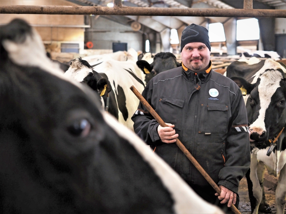 Ari Hännisen lypsykarjatilan maidot menevät Arlalle. Hän pitää meijeriyhtiön uutta tuottajahinnoittelua pääasiassa hyvänä asiana.