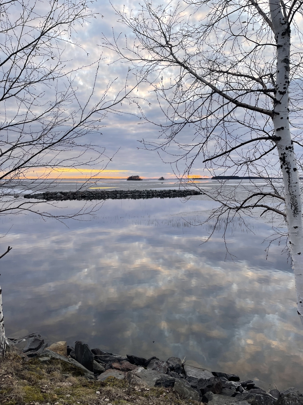Viimeisetkin jäänrippeet olivat kaikkoamassa Pyhäselän rannasta 6. toukokuuta.