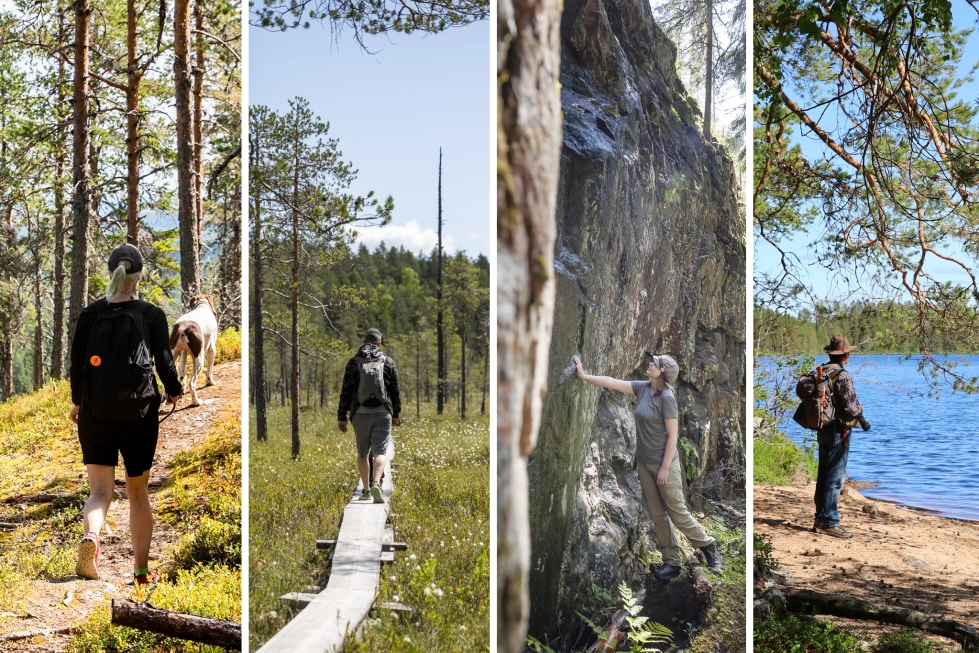 Pohjois-Karjalassa on lukuisia upeita luontokohteita.