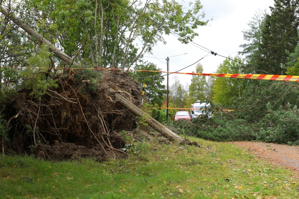 Syyskuussa Varpu-myrsky teki tuhoja esimerkiksi Lieksassa. Aihekuva.