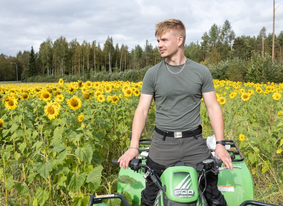 Peltokuuselan tilan tuleva isäntä Lauri Koponen, 22, saapui tiluksilleen peltojen halki. 