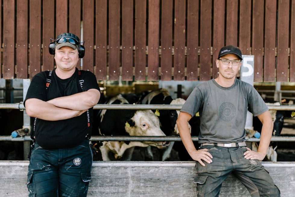 Heikki (vas.) ja Simo Inkinen pitävät karjatilaa Ruokolahdella Etelä-Karjalassa.