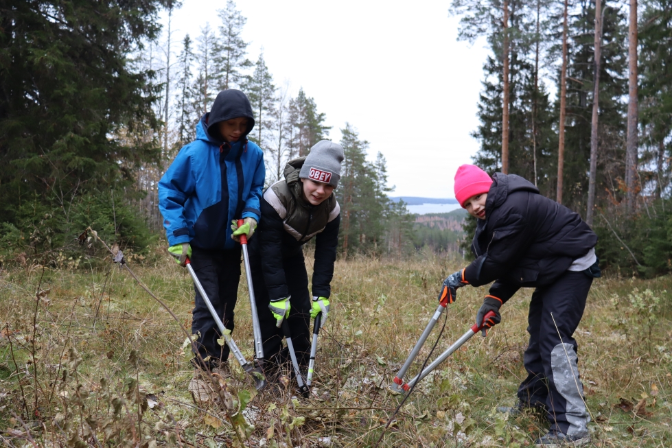 Niilo Pesonen, Tuukka Kosunen ja Lenni Kosunen raivasivat lauantaina metsärinnettä Pääskyvuorella.