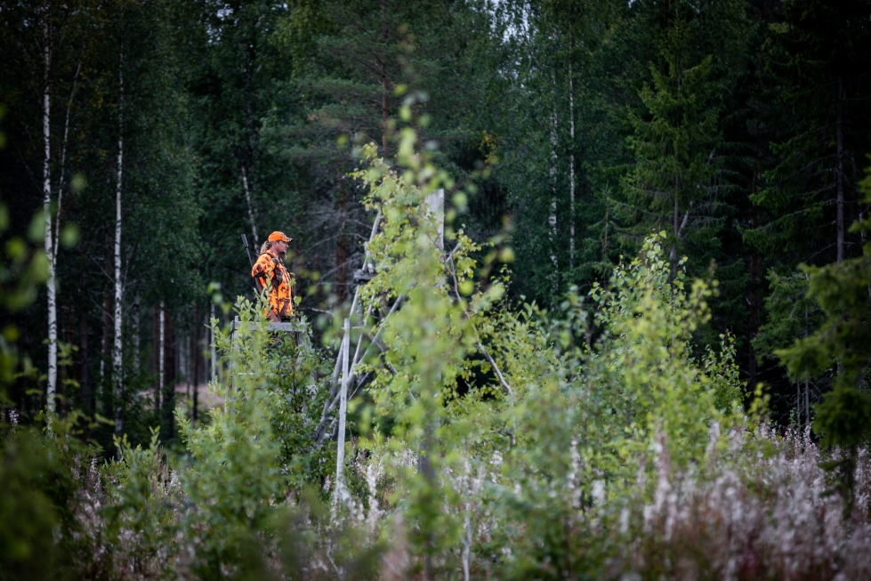 Vuonna 2022 Pohjois-Karjalan karhujahti jäi lähes kokonaan väliin, koska poikkeusluvat olivat lainvastaisia.