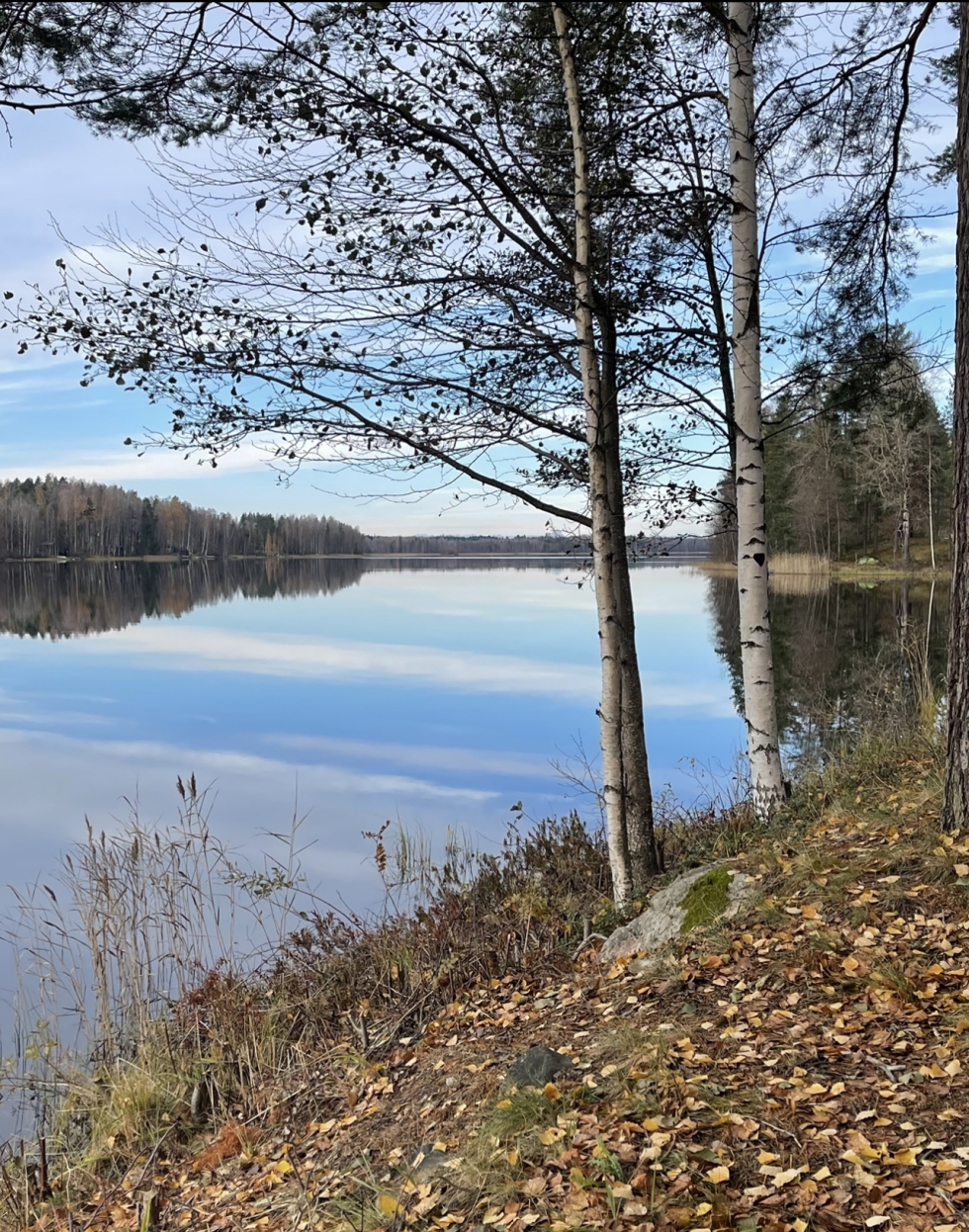 Pyhäselän Haapajärven ympäristössä ei näkynyt vielä talven merkkejä 22. lokakuuta.