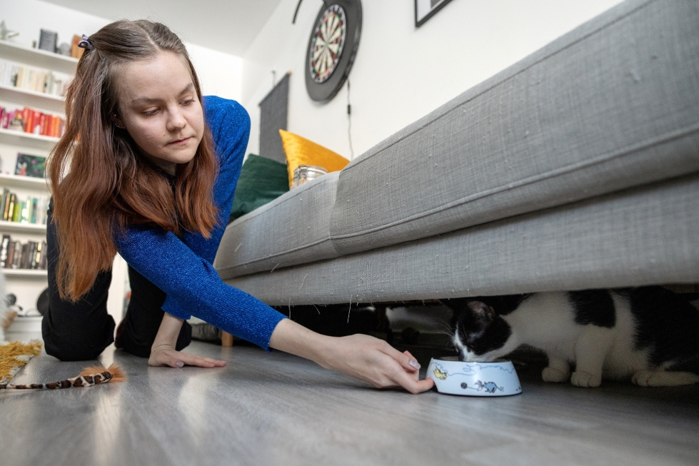 Emma Kaiku ruokkimassa Mambo-kissaa, joka vierasti vieraita ja viihtyi paremmin sohvan alla.