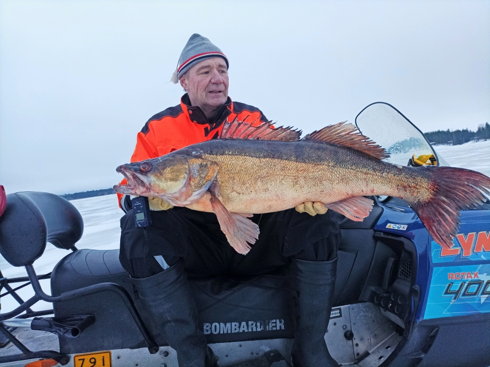 Juha Kolehmainen ja Markku
Leskinen saivat 18. tammikuuta
Tohmajärvestä 12 300 grammaa
painaneen kuhan. Verkolla
pyydetyllä kalalla oli pituutta 103
senttiä.