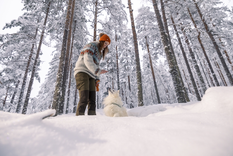 Agrologi (YAMK) Eeva Wainwright selvitti Jyväskylän ammattikorkeakoulun opinnäytetyössä, millaisia kokemuksia metsästäjillä oli vierasjahdeista ja miten jahteja tulisi organisoida ja kehittää.