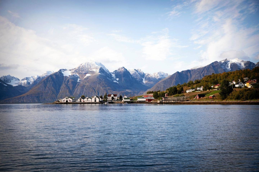 Havnnes on perinteinen norjalainen kauppapaikka ja kalastajakylä. Näistä vuonomaisemista katkaraputroolarit lähtevät jopa kuukauden mittaisille kalastusmatkoille.