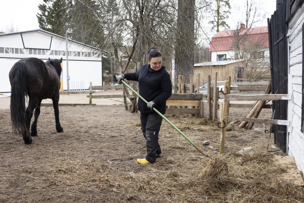 Niina Koivuniemen tallilla on maata 20 hehtaaria. 10 hehtaarin peltoalalla tehdään hevosille heinää, joka riittää yleensä kevättalvelle asti. Taustalla viime syksynä rakennettu maneesi.
