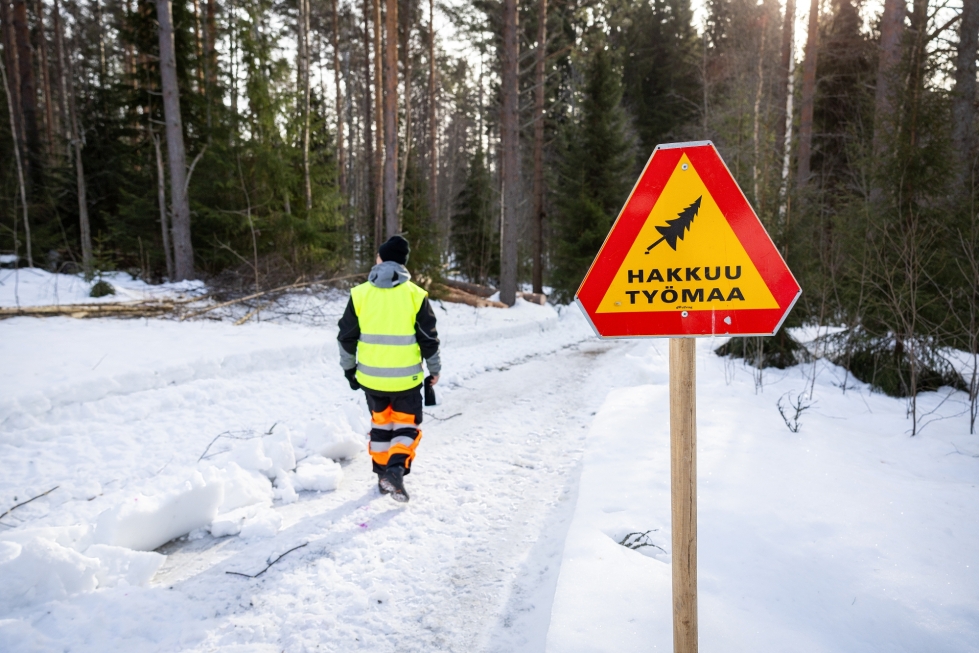 Lehmon asukkaat pelkäävät myös sitä, että hakkuut saattavat lisätä asutusalueelle Kajaanintieltä kantautuvaa liikenteen melua. Kuvituskuva.