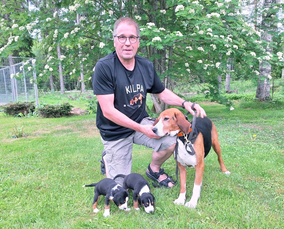 Ilomantsilaisen Raimo Hämäläisen ajokoiranarttu Havukkakallion Cira voitti Karjalaisen koirakisan ajavien koirien sarjan. Cira on hyvä emo 3,5-viikkoisille pennuilleen.