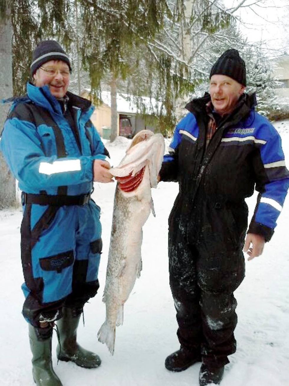 Mauri Kinnunen (vas.) ja Reijo Parviainen voittivat Karjalaisen kalakilpailun haukisarjan tasan 16 kilogrammaa painaneella vonkaleella. Kala pyydettiin Tohmajärven Särkijärvestä.