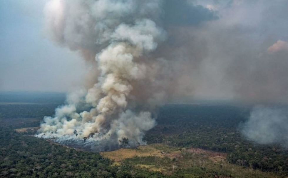 G7-maat aikovat tarjota sammutusapua Brasilian metsäpaloihin. LEHTIKUVA/AFP/GREENPEACE