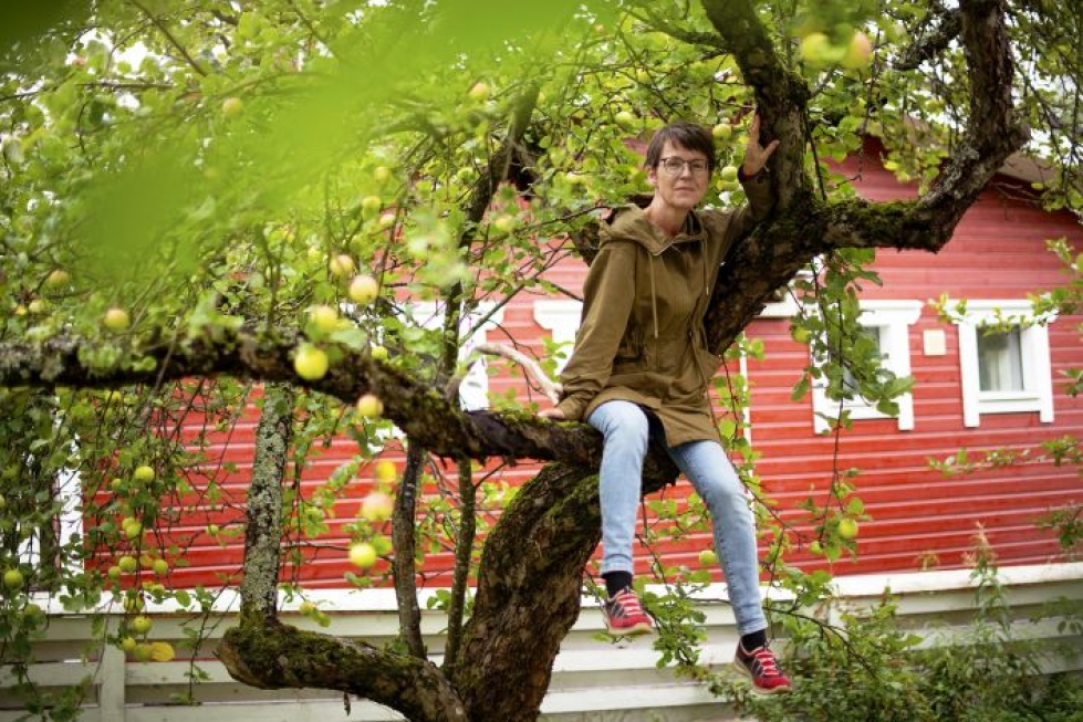 Irma Jäppinen asuu rintamamiestalossa Kouvolassa. Pihalla seisoo yhdeksän omenapuuta, jotka tuottavat runsaasti satoa.