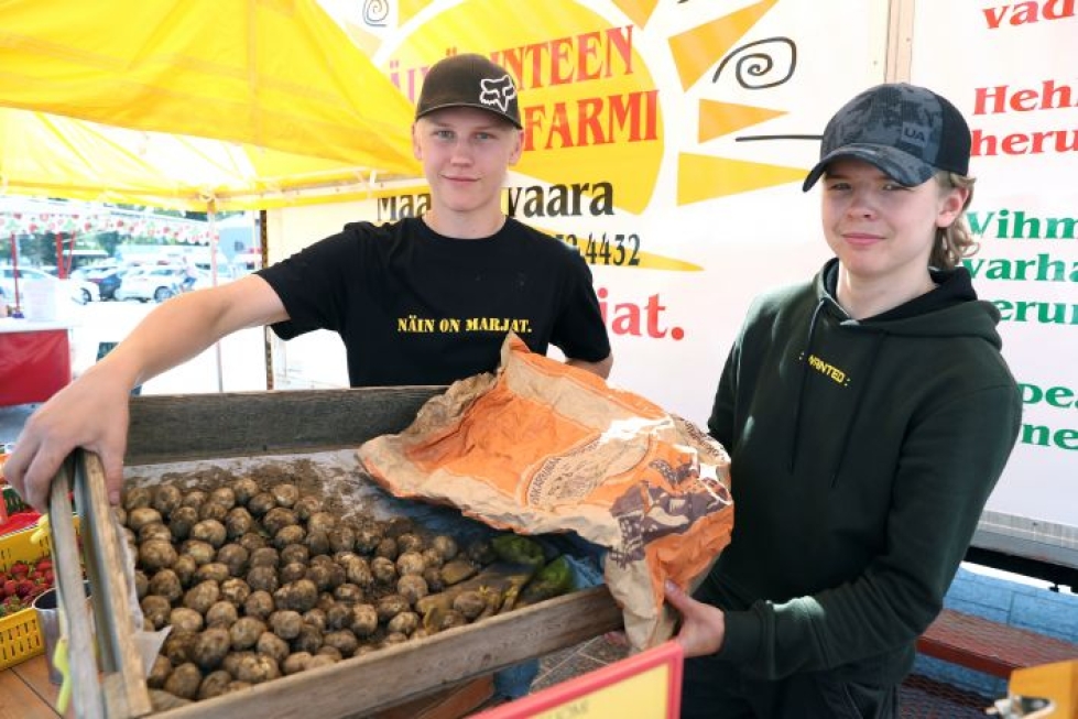 Pessi Martikainen ja Atte Viren kertoivat, että perunaa oli myyty perjantain keskipäivään mennessä jo 45 kiloa.
