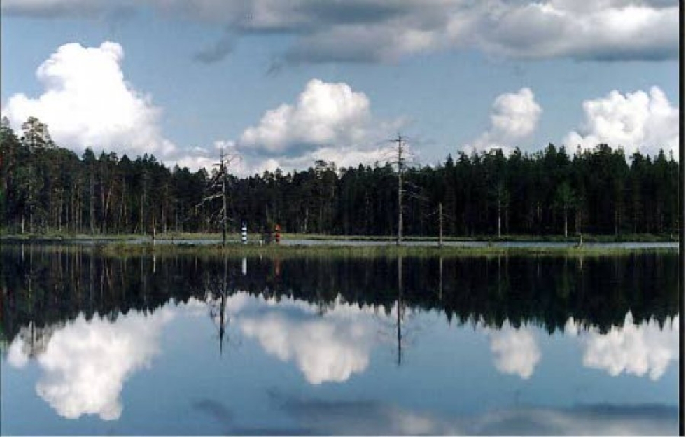 Euroopan unionin itäisin piste sijaitsee Ilomantsin Virmajärvellä.