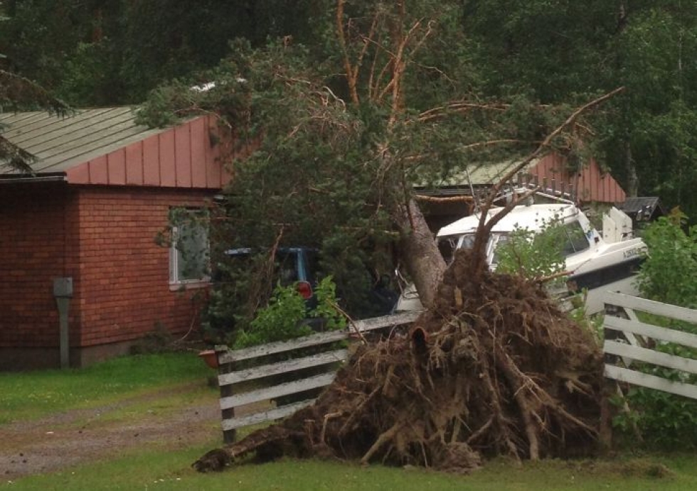 Myrsky kaatoi puun talon päälle Joensuun Kanervalassa Kullerotiellä.