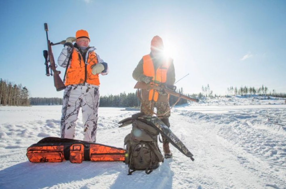 Villisikaviikonloppu saa metsästäjät liikkeelle. Tauno Partanen ja Juhani Kukkonen sopivaa passipaikkaa etsimässä.
