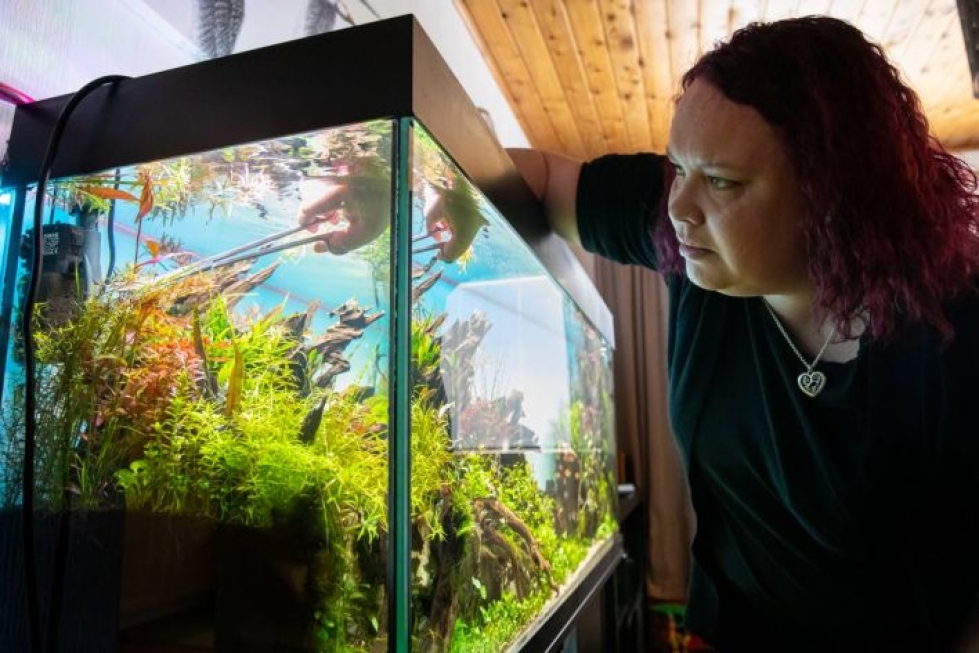Marita Kivioja aloitti aquascapingin harrastuksen syntymäpäivänään vuonna 2019. Sen jälkeen harrastus on muuttunut intohimoksi.