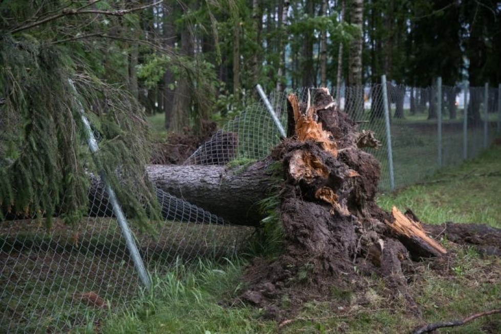 Myrsky kaatoi puita koko maakunnassa. Kuva Joensuun keskustasta.