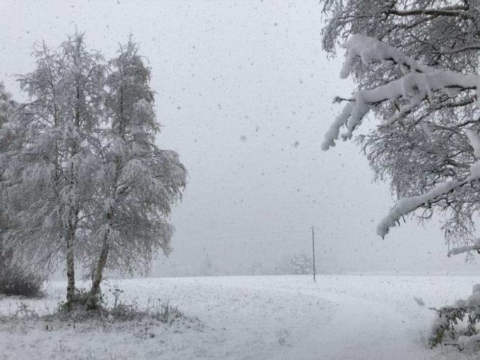 Lunta satoi sakeasti myös Alavudella Etelä-Pohjanmaalla. LEHTIKUVA / Minna Pulli