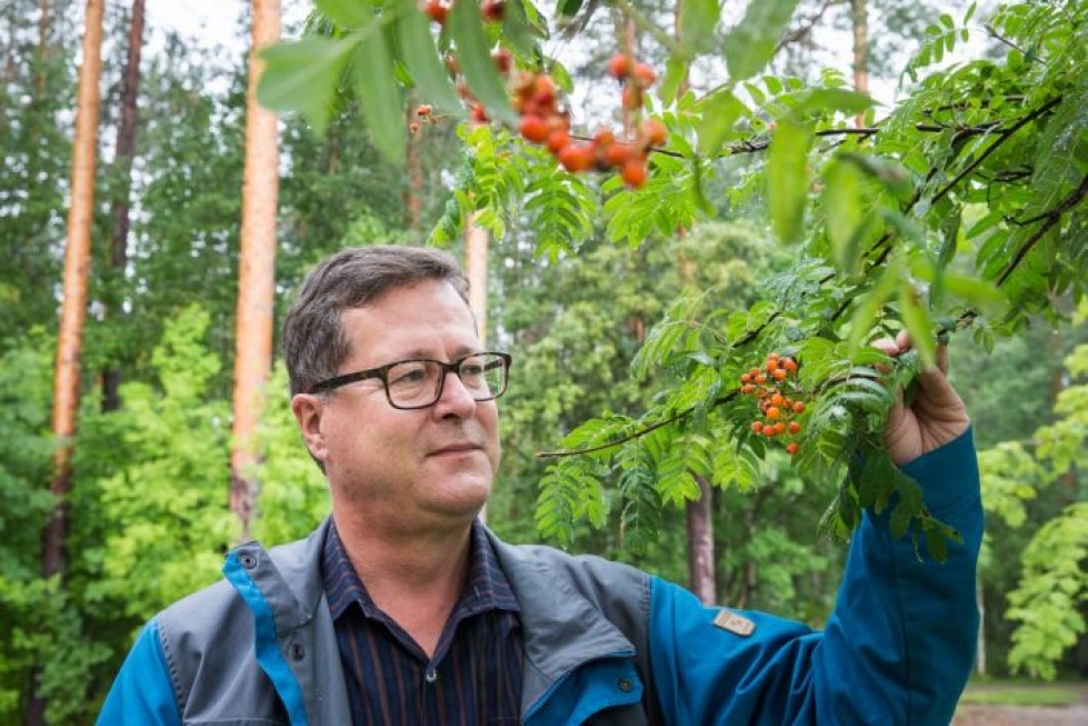 Jyrki Kangas on puolustanut metsien käsittelyn valinnanvapautta ja monimuotoisuuden vaalimista koko uransa, joten hän on tyytyväinen viime vuosien kehitykseen.