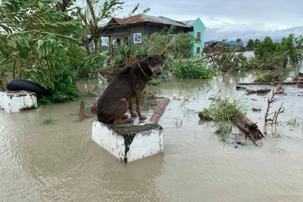 Viikko sitten Filippiinejä koetteli Molave-taifuuni, jonka vuoksi 22 ihmistä sai surmansa. LEHTIKUVA/AFP