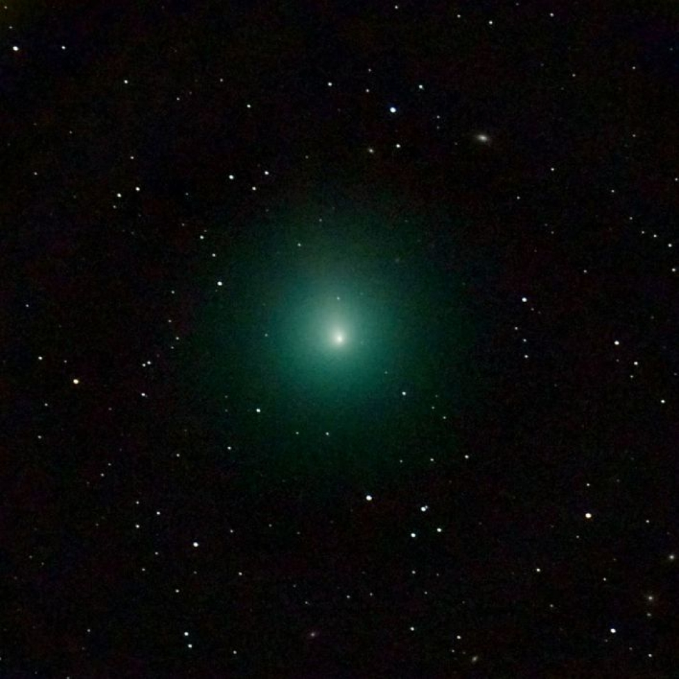 Komeetta Wirtanen 3. joulukuuta otetussa teleskooppikuvassa. Lehtikuva / AFP