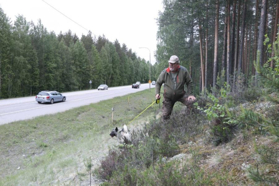 Markku Kejosen mukaan paikalliset metsästäjät olisivat halukkaita jatkamaan hirvinauhojen ylläpitoa.