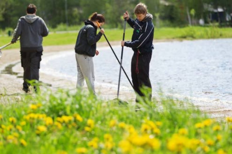 Tatu Martikainen (selin), Ella Hurskainen ja Santeri Sivonen siistivät Vehkalahden uimarantaa Joensuussa tällä viikolla.