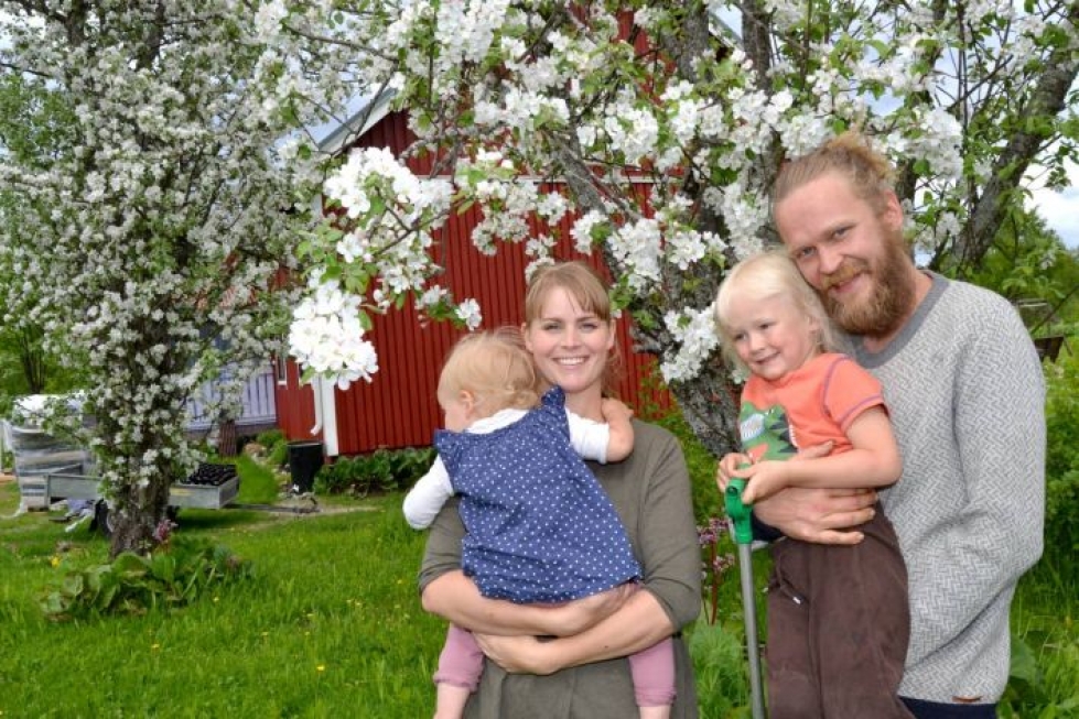 Tea Tamminen ja Erkki Palviainen sekä lapset Venla ja Väinö viihtyvät hyvin maalla uudessa kodissaan, jossa omenapuut kukkivat keväällä.